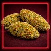 Бошки марихуаны Lemon Haze (шишки ТГК 24%) в Москве