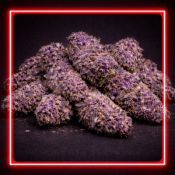 Шишки марихуаны LSD Weeds (ТГК 24%) в Москве